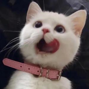 亚洲中文字幕在线无码一区二区
